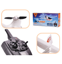 WLtoys Sky King F959S 2,4 GHz RC zrakoplov/IKO-9606