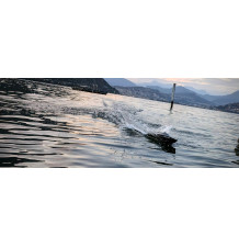 AVANTI BL V2 BREZKRTAČNI/2,4GHz/55km/h/RTR/DF-3630