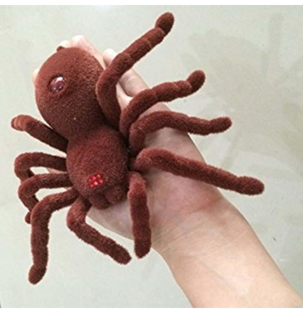 PAJEK NA DALJINSKO VODENJE-TARANTELA-787