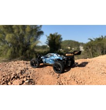 RC-SPEEDSLUGGER BUGGY/4WD/1:10 RTR/DF-3196