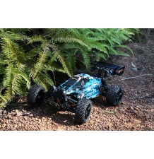 RC-SPEEDSLUGGER BUGGY/4WD/1:10 RTR/DF-3196