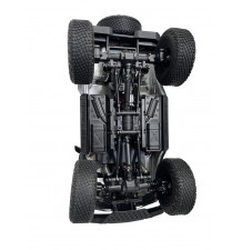 Mini Varant Crawler 1:18/4WD/ RTR/DF-3107/8