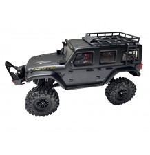 DF-04S PRO BL 1:10 Scale Crawler/Brezkrtačni/z baterijo in polnilcem/RTR/DF-3226