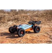 Z06 B2 Buggy 1:14 RT/60km/DF-3200