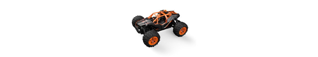 DF-Fun Race
